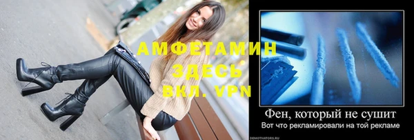 твердый Арсеньев