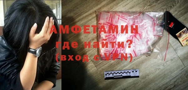 твердый Арсеньев