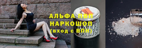 твердый Арсеньев