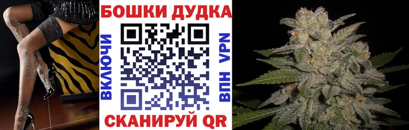 Купить  Дмитровск  Конопля сатива 
